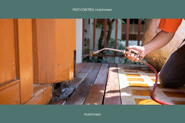 PEST CONTROL Hutchinson